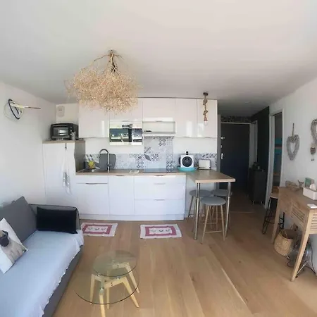 4 Pers Piscine Couchant Apartment *