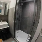 4 Pers Piscine Couchant Apartment *