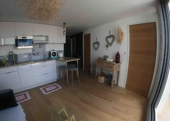 4 Pers Piscine Couchant Appartement La Grande Motte